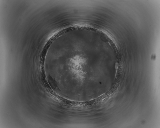 X0000099290823200805090928