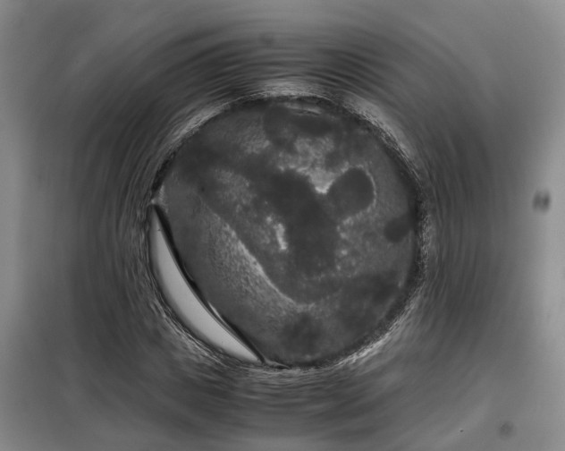 X0000099290825200805090928