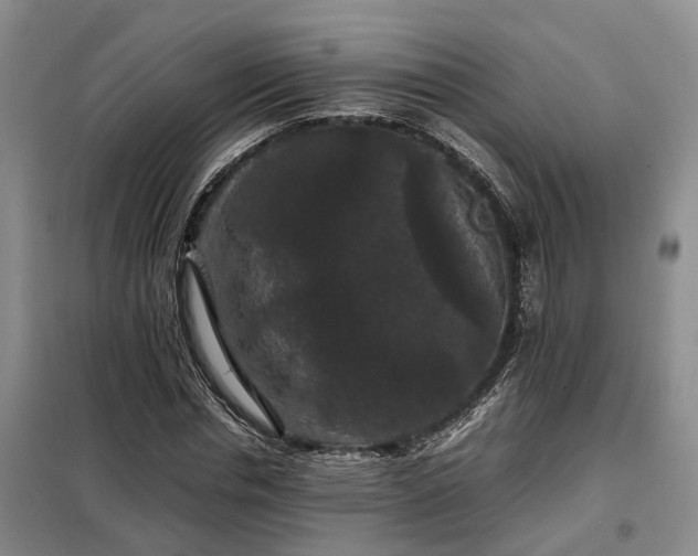 X0000099290826200805090928