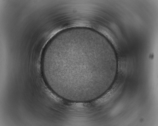X0000099290828200805090928