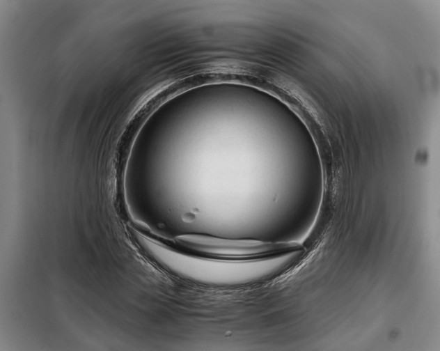 X0000099290829200805090928