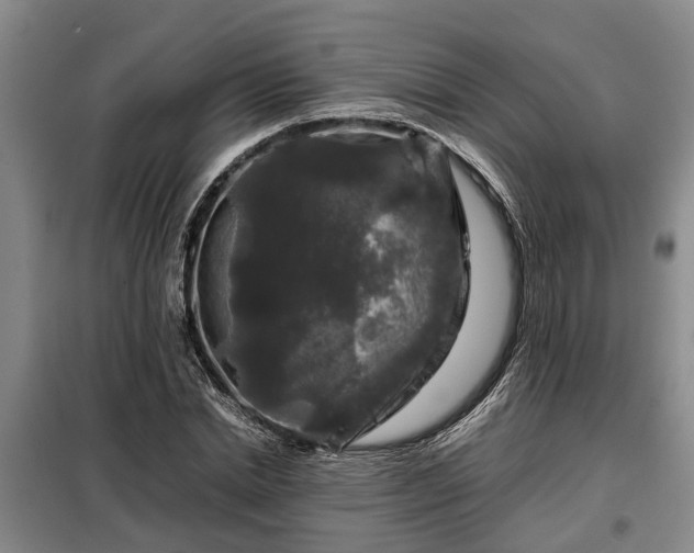 X0000099290830200805090928