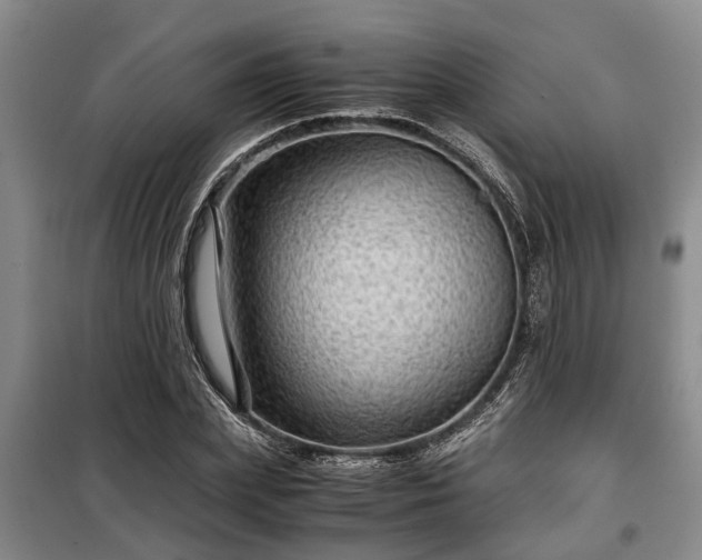 X0000099290831200805090928