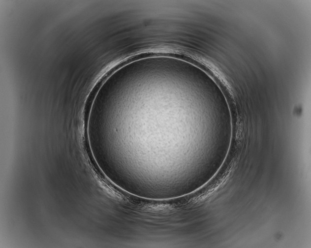 X0000099290837200805090928