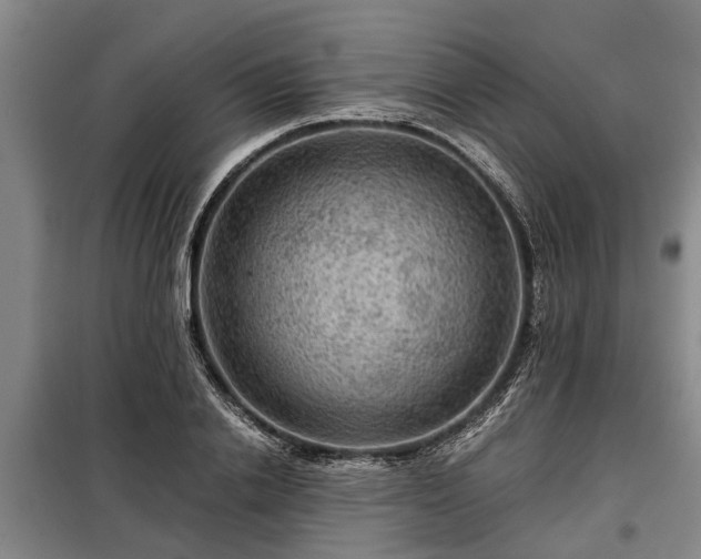 X0000099290838200805090928