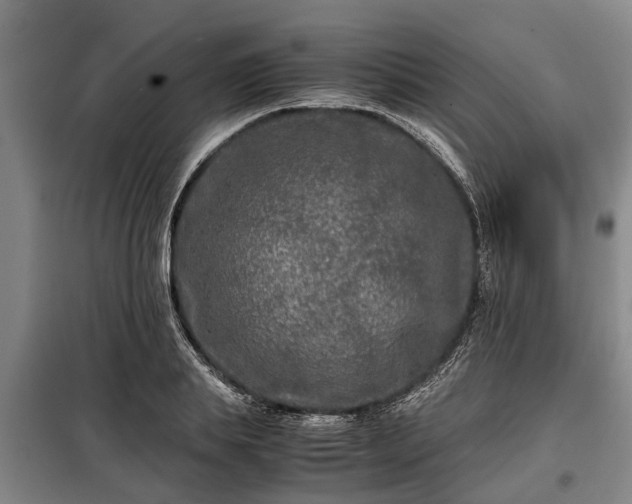 X0000099290839200805090928