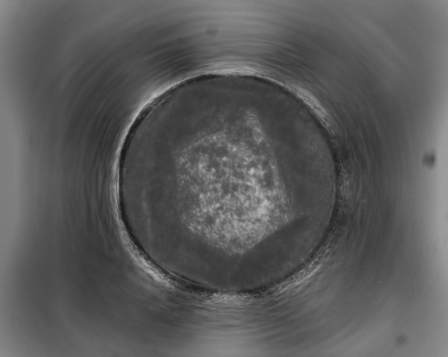 X0000099290840200805090928