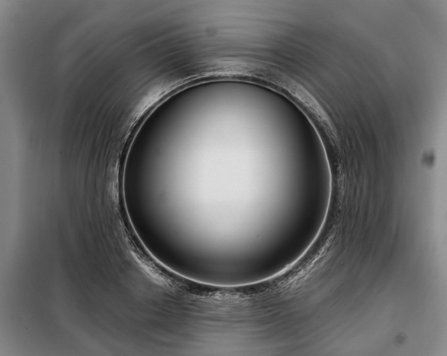 X0000099290842200805090928