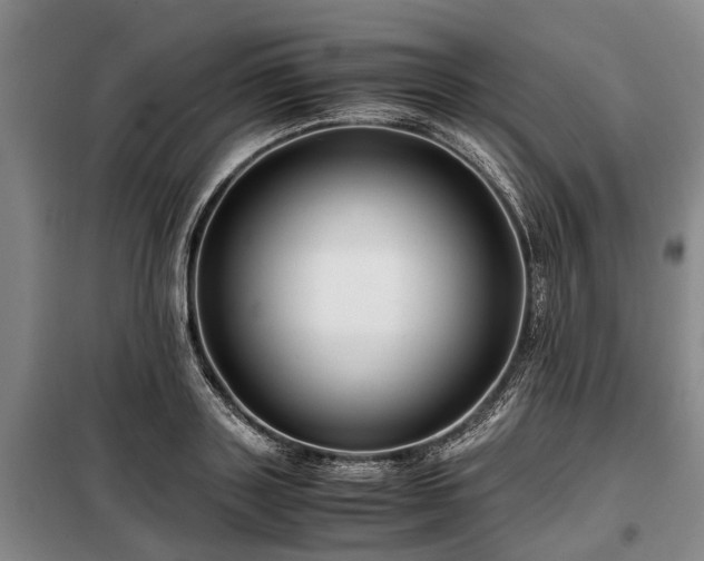 X0000099290843200805090928