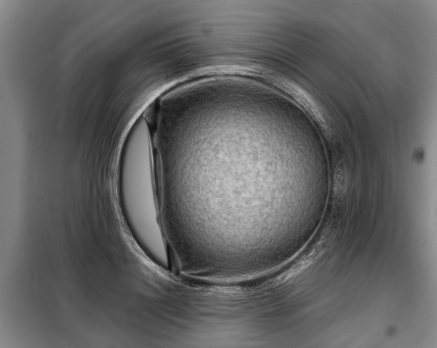 X0000099290844200805090928