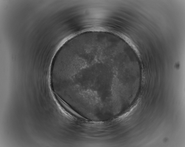 X0000099290845200805090928