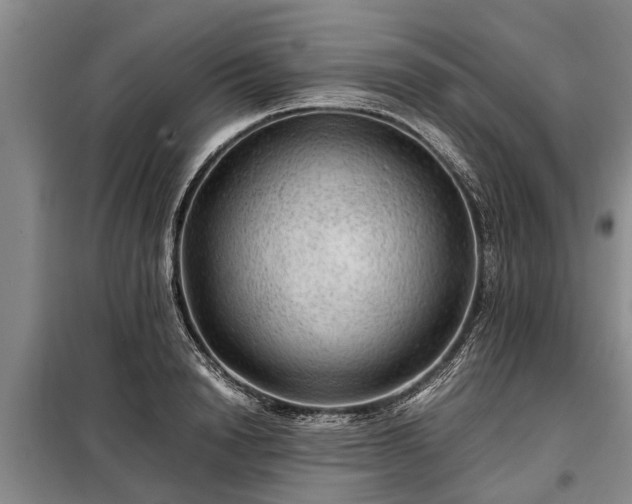 X0000099290846200805090928