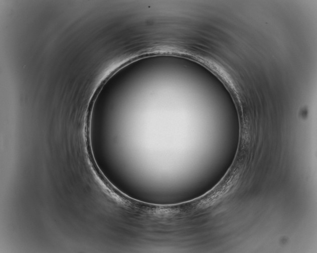X0000099290847200805090928