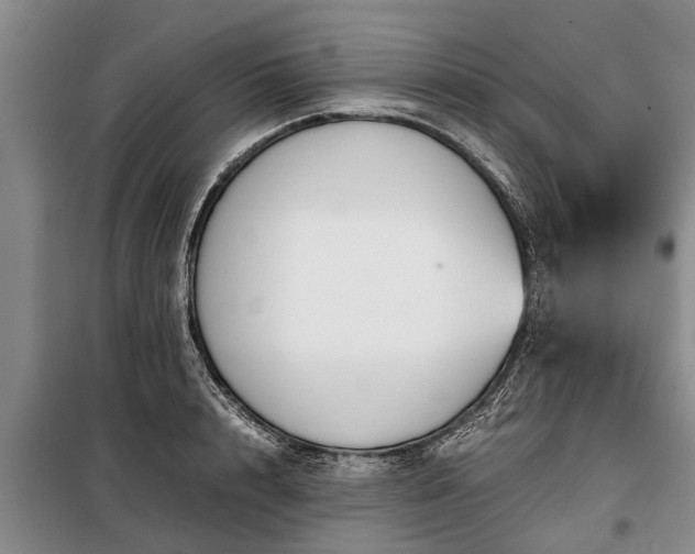 X0000099290848200805090928
