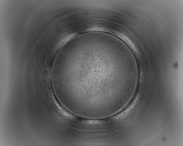 X0000099290849200805090928