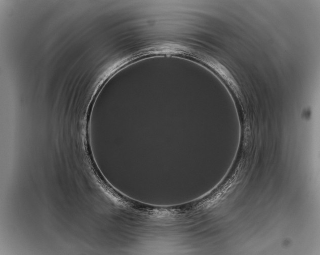X0000099290850200805090928