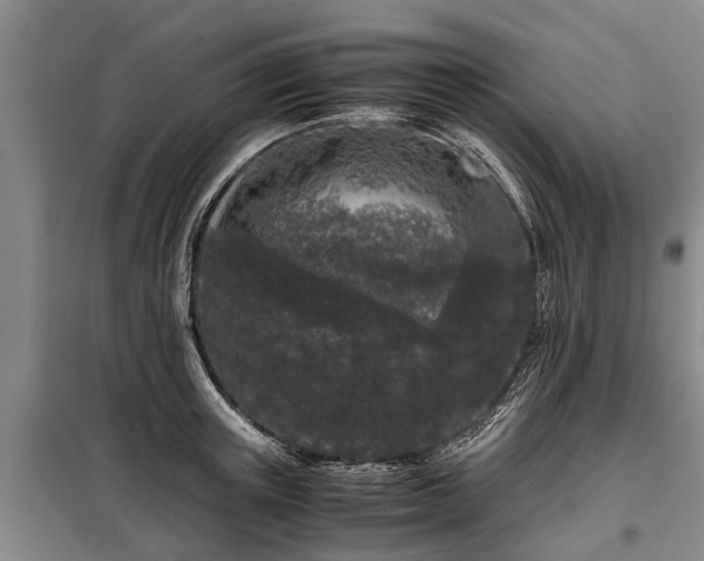 X0000099290851200805090928