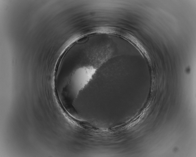 X0000099290853200805090928