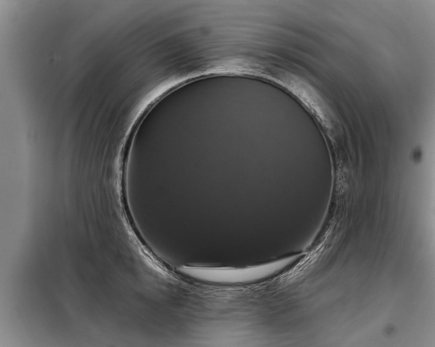 X0000099290854200805090929