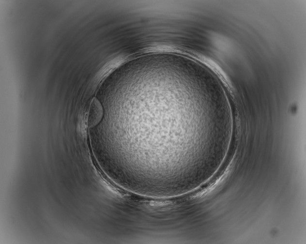 X0000099290857200805090929