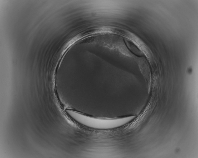 X0000099290858200805090929