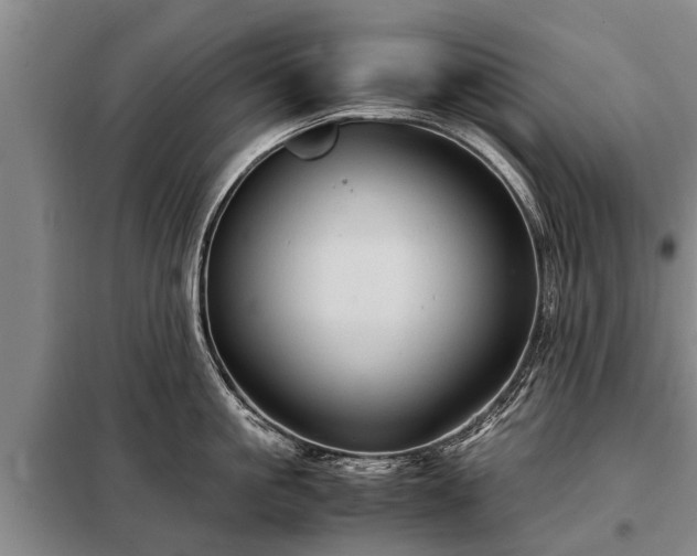X0000099290861200805090929