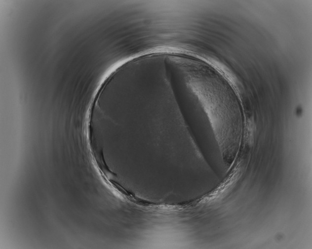 X0000099290862200805090929
