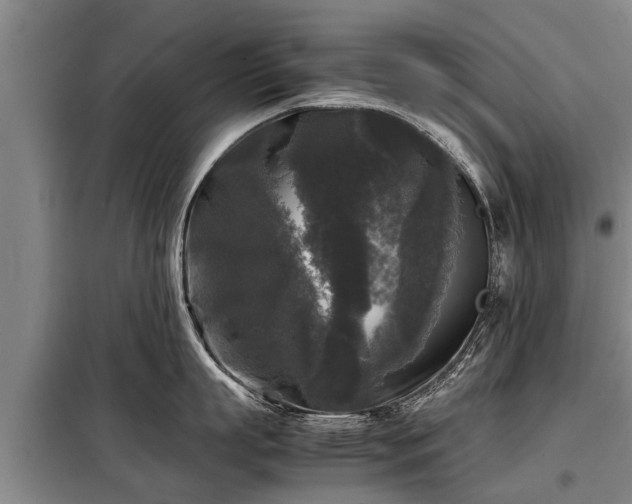 X0000099290863200805090929