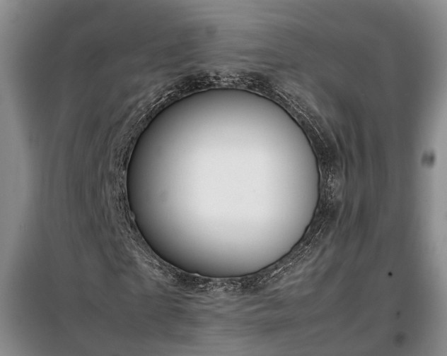 X0000099290865200805090928