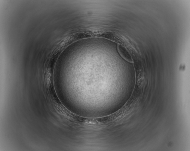 X0000099290866200805090928