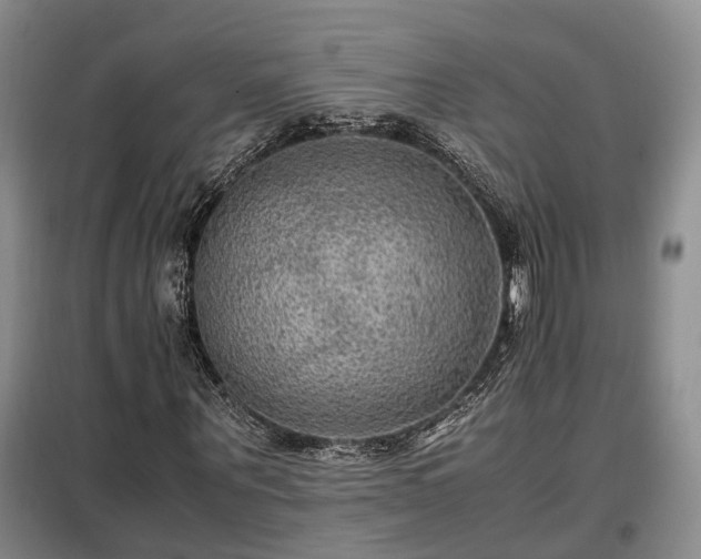 X0000099290867200805090928