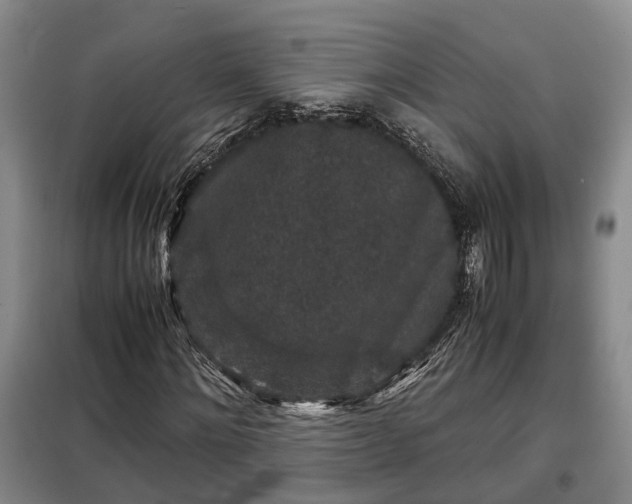 X0000099290868200805090928