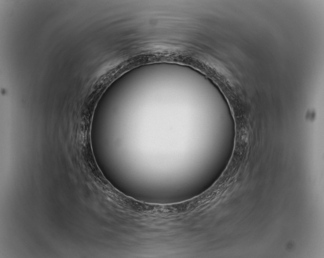 X0000099290869200805090928