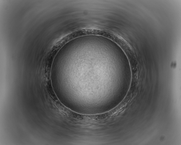 X0000099290870200805090928