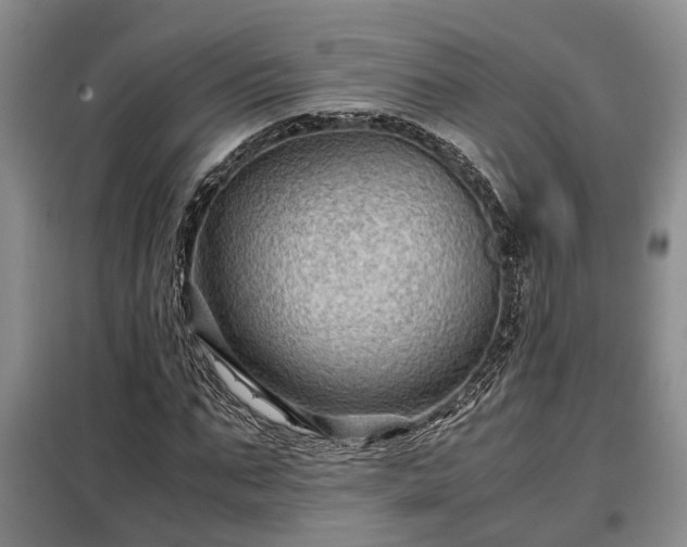X0000099290871200805090928