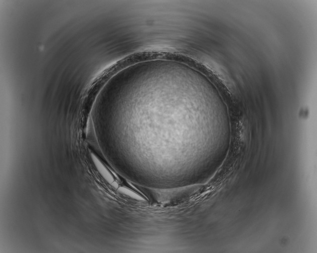 X0000099290872200805090928