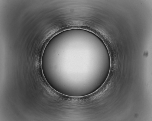 X0000099290873200805090928