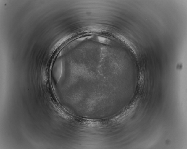 X0000099290874200805090928