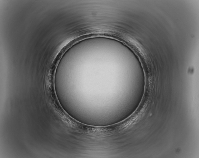 X0000099290875200805090928