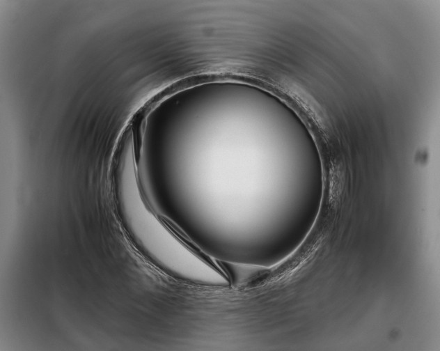 X0000099290876200805090928