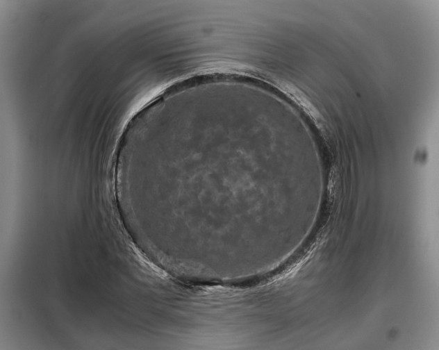 X0000099290877200805090928
