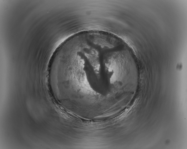 X0000099290879200805090928