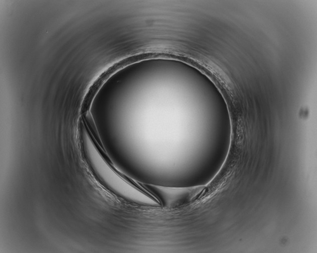 X0000099290880200805090928