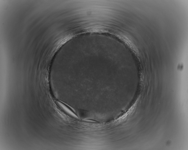 X0000099290881200805090928