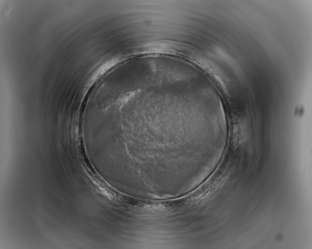 X0000099290882200805090928