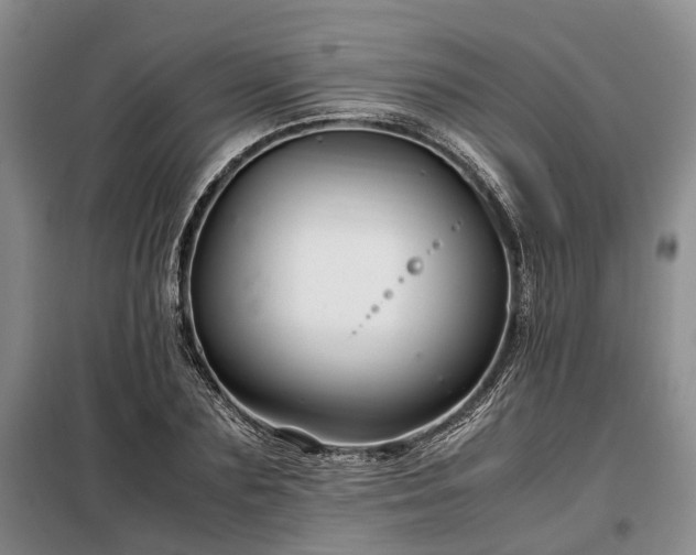 X0000099290883200805090928