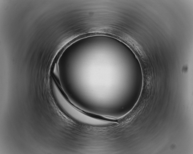 X0000099290884200805090928