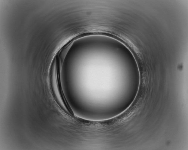 X0000099290885200805090928