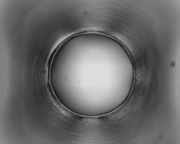 X0000099290886200805090928
