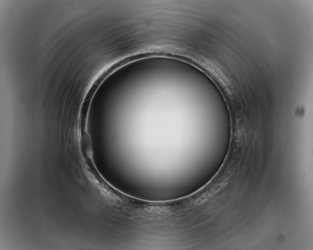 X0000099290888200805090928